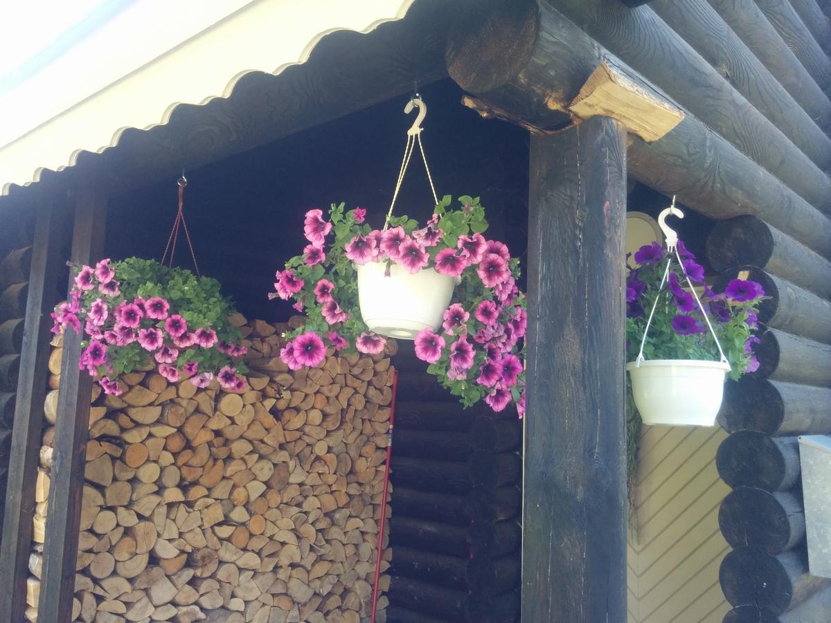 Safari House Guest House Otepaa Exterior photo